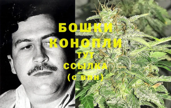 молекула духа Горняк