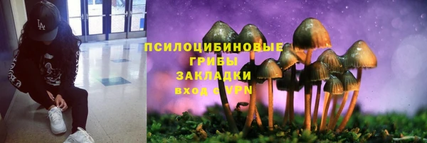 бошки Магадан