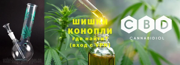 молекула духа Горняк