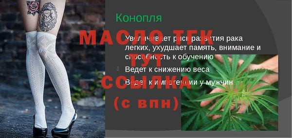 молекула духа Горняк