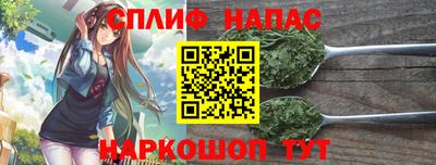 индика Заводоуковск