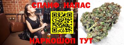 индика Заводоуковск