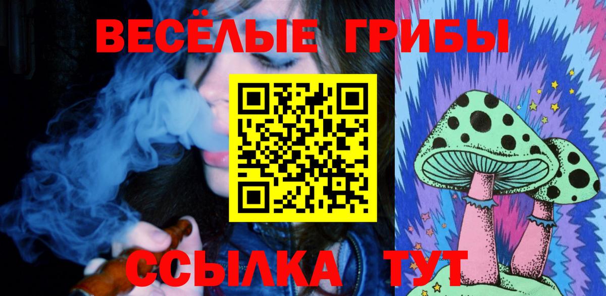 Можга  Псилоцибиновые грибы мухоморы  дарнет шоп  Вход с VPN 
