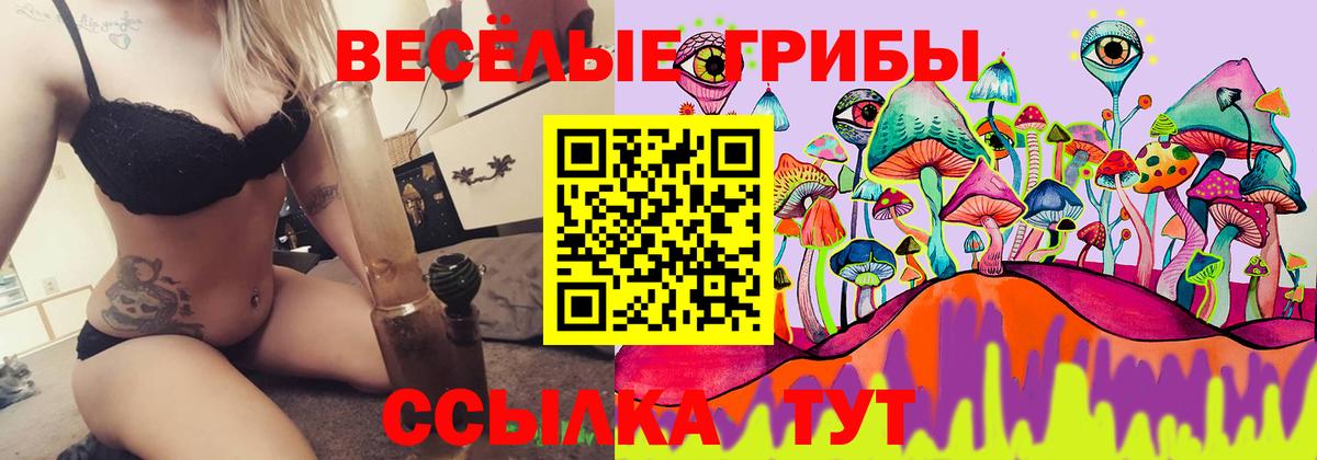 Псилоцибиновые грибы Psilocybine cubensis Можга