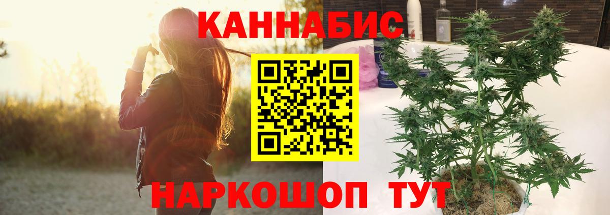 Шишки марихуана MAZAR Можга